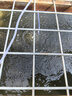 HASE太陽(yáng)能魚(yú)池增氧泵氧氣機戶(hù)外防水充電水產(chǎn)魚(yú)缸塘養魚(yú)中小型沖氧泵 太陽(yáng)能氧氣泵15W(5檔可調 可單獨充電) 曬單實(shí)拍圖