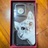 CASETIFY 躲貓貓 peekaboo cat 防摔手機殼 適用iPhone16/15/Pro/Max 透明黑框 iPhone 15 Pro Max 曬單實拍圖