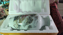 景德鎮(zhèn)花瓶陶瓷客中式插花轉(zhuǎn)運(yùn)竹家居陶瓷花瓶裝擺件國(guó)風(fēng)花瓶 路路高升納福瓶 曬單實(shí)拍圖