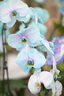 適馬（SIGMA） 56mm F1.4 半畫(huà)幅大光圈定焦鏡頭 尼康Z口 【官方標配】主圖配件+多重好禮 曬單實(shí)拍圖
