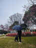 寶迪妮三折超大號手動雨傘便攜男士折疊車載反向晴雨兩用防曬遮陽太陽傘 3人大-青衣黑 12骨 超大三人使用 曬單實拍圖