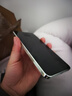 HUAWEI Mate 70 國家補貼500元【現(xiàn)貨當天發(fā)】mate70鴻蒙AI 紅楓原色影像 華為鴻蒙智能手機新品 云杉綠 12GB+512GB 鴻蒙NEXT先鋒版24期免息 曬單實拍圖