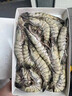 黑虎蝦超大蝦類(lèi) 巨型特大黑虎蝦 海蝦深?；顑龊诨⑽r海鮮生鮮 18-20只/盒(3盒) 3斤(凈重) 曬單實(shí)拍圖