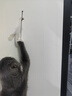 京嚴貓玩具逗貓棒幼貓咪自嗨解悶神器帶吸盤(pán)鈴鐺長(cháng)桿羽毛耐抓寵物用品 曬單實(shí)拍圖