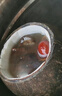 蔬果哆 海南老椰子 預(yù)開(kāi)口椰皇 燉湯椰子 三個(gè)裝 曬單實(shí)拍圖