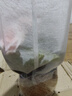意軒帶盆帶土盆栽植物玫瑰海棠帶花發(fā)貨 四季開花盆栽 麗格海棠綠植 公主粉 曬單實拍圖