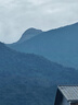 駱駝梭織長(cháng)褲男防潑水寬松闊腿褲情侶戶(hù)外登山工裝風(fēng)休閑長(cháng)褲女 J14CA66645，湖茶綠，男 L 曬單實(shí)拍圖
