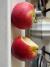 優(yōu)味集蘋(píng)果【JD順豐速發(fā)】新西蘭泰勒小蘋(píng)果進(jìn)口孕婦水果節日可選禮盒 2枚裝（商超級金果嘗鮮） 商超同款（400-500g/g罐） 曬單實(shí)拍圖