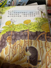 小鼴鼠和蟬寶寶 福澤由美子 九童國際文化 港臺(tái)原版 兒童讀物 親子繪本 親情 友誼主題 動(dòng)物故事圖畫書 3-8歲 曬單實(shí)拍圖