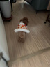 嘻哈鴨寵物唐裝狗狗秋冬裝貓咪節日喜慶服飾小型犬泰迪博美比熊新年衣服 橘粉色唐裝 S-建議4-6斤 曬單實(shí)拍圖