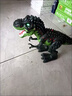蒂米妮兒童男孩智能遙控恐龍玩具電動會走路仿真動物機器人超大號霸王龍 小號霸王龍【綠色】 電池版【普通電池】 曬單實拍圖