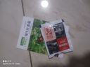 矮生紅番茄種子奶白菜上海青光桿茼蒿割茬茴香黃心烏塌菜種籽菜籽 奶白菜種子10克 曬單實(shí)拍圖