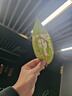 WAINLUX激光雕刻機(jī) 葉雕桌面全封閉app樹葉文具筆打字刻字智能激光打標(biāo)機(jī) K10激光雕刻機(jī) 曬單實(shí)拍圖