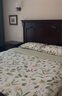 Harbor House全棉貢緞四件套美式純棉環(huán)?；钚杂』壹彺矄伪惶状财诽准嗀rbor Arbor-300T全棉貢緞 1.8米床 床單款 （被套220*240cm） 曬單實拍圖