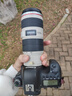 佳能/Canon 70-200  小白 大白長焦 二手鏡頭70-300 L IS鏡頭 95新 EF 70-200/F4L IS USM小小白防抖 95成新 曬單實拍圖