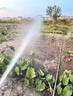 充電水泵大流量充電式抽水泵菜地澆菜園神器澆水抽水機農用隔膜泵 12v12AH藍色大流量水泵+10m6分管 曬單實(shí)拍圖