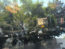 雷朋（Letbon） 全車(chē)膜太陽(yáng)膜防曬膜汽車(chē)玻璃防爆膜雷昀系列太陽(yáng)隔熱膜 前擋（透明） 曬單實(shí)拍圖