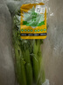 【立農(nóng)維康水果西芹】新鮮榨汁無害蔬菜綠色生吃水果芹菜4斤包郵 西芹4斤 曬單實拍圖