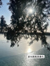 波司登（BOSIDENG）【反季】冬季羽絨服楊紫同款男女同款情侶短款連帽新國標90絨外套 黑色 緋草米80LR【卡碼拍小】 M 165/88A 【卡碼拍小】 曬單實拍圖