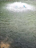 水中皇增氧機魚(yú)塘永磁變頻打氧機葉輪式增氧泵養殖專(zhuān)用大功率氧氣泵養魚(yú) 2200W電機380V（節能變頻）防雷 曬單實(shí)拍圖