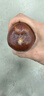 觀(guān)玉佛心果菩提吊墜彩色粉色原籽原色手串釋迦佛心菩提空心金燈菩提 彩色中果一個(gè)不帶工具 曬單實(shí)拍圖