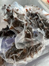 薩哈林俄羅斯野生即食海參 原料進(jìn)口六排刺高參齡無添加高品質(zhì) 1斤裝13-15只 簡裝 曬單實(shí)拍圖