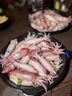 大海有禮漳州市東山縣小管魷魚墨魚仔海兔子彈管筆管魚火鍋燒烤海鮮食材 東山小管【無冰衣凈重300g*3盒】 曬單實拍圖
