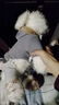 阿莫爾貓咪衣服加厚秋冬裝保暖棉衣泰迪比熊雪納瑞小型犬狗狗寵物四腳衣 灰色變身裝 XXL(建議12-15斤參考胸圍背長) 曬單實拍圖