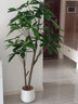未歐發(fā)財樹仿真綠植高端輕奢室內(nèi)盆栽假花客廳裝飾樹落地擺件仿生植物 1.6米恭喜發(fā)財【+白色圓盆】 曬單實拍圖