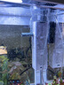 京厽魚(yú)缸過(guò)濾器三合一內(nèi)置循環(huán)泵小型水族箱過(guò)濾增氧泵 小鯉系列6W四合一過(guò)濾器適合60CM內(nèi)缸 曬單實(shí)拍圖