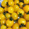 京配嘉果黃色圣女果 黃色小番茄 夏日陽(yáng)光 小西紅柿番茄新鮮水果千禧果 1斤精選裝 曬單實(shí)拍圖