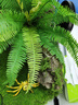 BARBAROUS GROWTH玻璃爬缸蜥蜴蛇甲蟲烏龜陸龜爬寵爬蟲角蛙飼養(yǎng)箱盒專用缸爬寵飼養(yǎng) BT-10(50*30*25)【磁吸不跑蛇】 曬單實拍圖