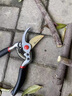 德力西剪枝剪刀強力花剪修枝剪果樹(shù)修剪樹(shù)枝園藝園林花藝剪子果園工具 【鋸剪套裝】8寸果農省力款 曬單實(shí)拍圖