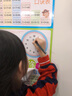 幼兒童20以內(nèi)加減法口訣表一年加法減法掛圖10以內(nèi)分解組合墻貼 10以內(nèi)加減分解大表 正常發(fā)貨 曬單實(shí)拍圖