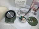 對伴小南瓜全玻璃養生壺養生煮茶壺小型多功能家用燒水壺辦公室養生杯煮茶器高級復古綠禮物 玻璃款+【贈送勺子+杯墊】 0.6L 贈賀卡（可聯(lián)系客服編輯文字） 曬單實(shí)拍圖