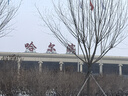 上海故事羊毛圍巾女冬季中老年送媽媽長(cháng)輩生日禮物中國風(fēng)刺繡圍脖禮盒 海棠花紫本 180cm*30cm 曬單實(shí)拍圖