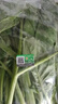 聽蔬 有機芥藍1斤 芥蘭菜甘藍菜 現(xiàn)摘現(xiàn)發(fā) 有機認證新鮮蔬菜 無農(nóng)殘 500g 曬單實拍圖