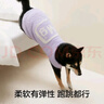 蕉內(nèi)【趙露思同款】絨絨500E寵物狗狗衣服秋冬季貓貓半邊絨保暖背心款 【趙露思同款】鎂紫 L 曬單實(shí)拍圖