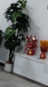 未歐發(fā)財樹仿真綠植高端輕奢室內(nèi)盆栽假花客廳裝飾樹落地擺件仿生植物 1.7米恭喜發(fā)財【+白色圓盆】 曬單實拍圖
