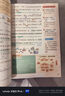 學而思 2025新版課堂筆記二年級語文下冊 同步新教材 緊貼新課標 大師原聲名師導讀互動問答式批注 曬單實拍圖