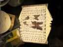 ZKHE扇形書燈創(chuàng)意折疊小夜燈臥室床頭燈氛圍感diy書本紙雕燈生日禮物 扇形書燈材料包【蘭亭集序】 送禮佳品【配同色系吊墜】 曬單實(shí)拍圖