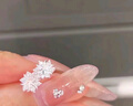 DAISY DREAM925銀精致雪花耳釘女春夏高級感小眾耳環(huán)2025新款氣質(zhì)超閃耳飾 925銀超閃雪花耳釘 曬單實(shí)拍圖