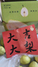 梓樂果新疆庫爾勒香梨新鮮當季孕婦水果全母梨皮薄超甜香妃梨子整箱送禮 5斤 特級混裝（120-150g） 曬單實拍圖