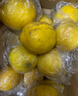 芬果時(shí)光 新鮮四川黃檸檬 單果約60g+ 新鮮水果 1000g裝 曬單實(shí)拍圖