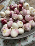 辰實【新干蒜】新鮮紫皮大蒜 云南獨頭蒜三瓣蒜 大蒜農(nóng)家蔬菜臘八蒜 1.8斤（獨頭蒜）個大 曬單實拍圖