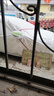 STARFANS車(chē)衣全車(chē)罩防雨防曬汽車(chē)遮陽(yáng)罩牛津布隔熱防塵防風(fēng)蓋車(chē)布四季加厚 適用于大眾速騰專(zhuān)用車(chē)衣全車(chē)罩 加棉加厚牛津布汽車(chē)衣罩外套 曬單實(shí)拍圖