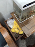 森森超白魚(yú)缸HE300/380/480/600內置替換專(zhuān)用過(guò)濾棉原廠(chǎng)原裝黃色棉 HE黃色專(zhuān)用棉50塊（原裝棉） 曬單實(shí)拍圖
