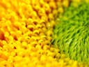 奧之心（OM SYSTEM）90mm F3.5 Macro IS PRO 定焦微距鏡頭 奧林巴斯微單相機鏡頭 等效180mm 曬單實拍圖