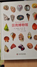 貝殼博物館（英國自然博物館原版引進(jìn)！值得收藏的貝殼“紙上博物館”?。?曬單實(shí)拍圖
