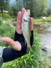 達瓦逐鹿微物路亞竿馬口白條碳素超軟溪流竿全套釣魚(yú)裝備UL L調翹嘴套裝 1.5米 UL直柄紡車(chē)輪套裝 曬單實(shí)拍圖